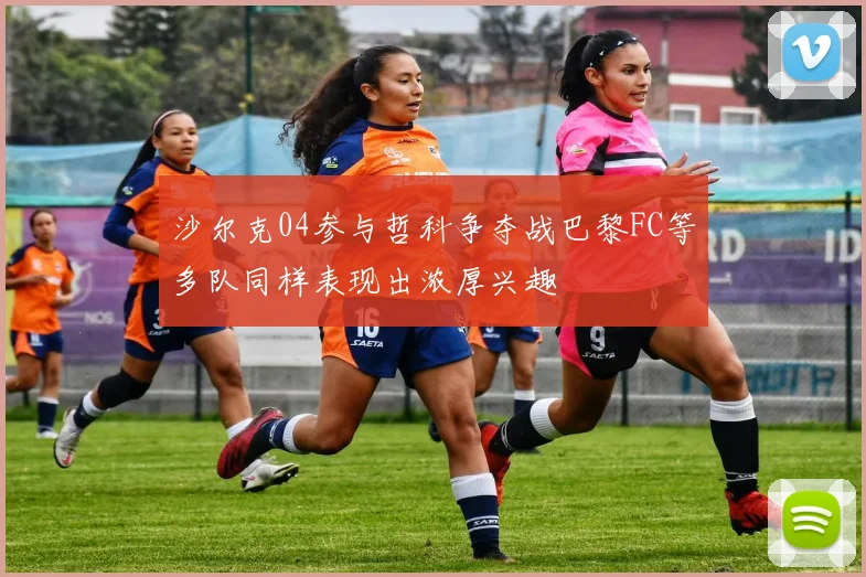 沙尔克04参与哲科争夺战巴黎FC等多队同样表现出浓厚兴趣